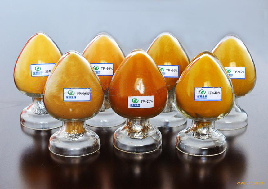 TEA POLYPHENOLS