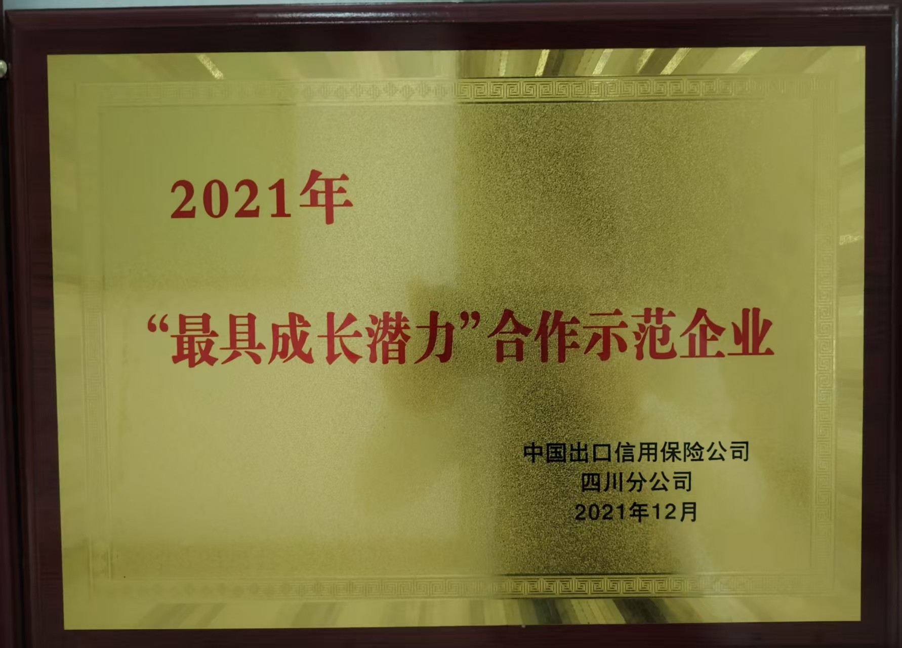 “最具成长潜力”合作示范企业
